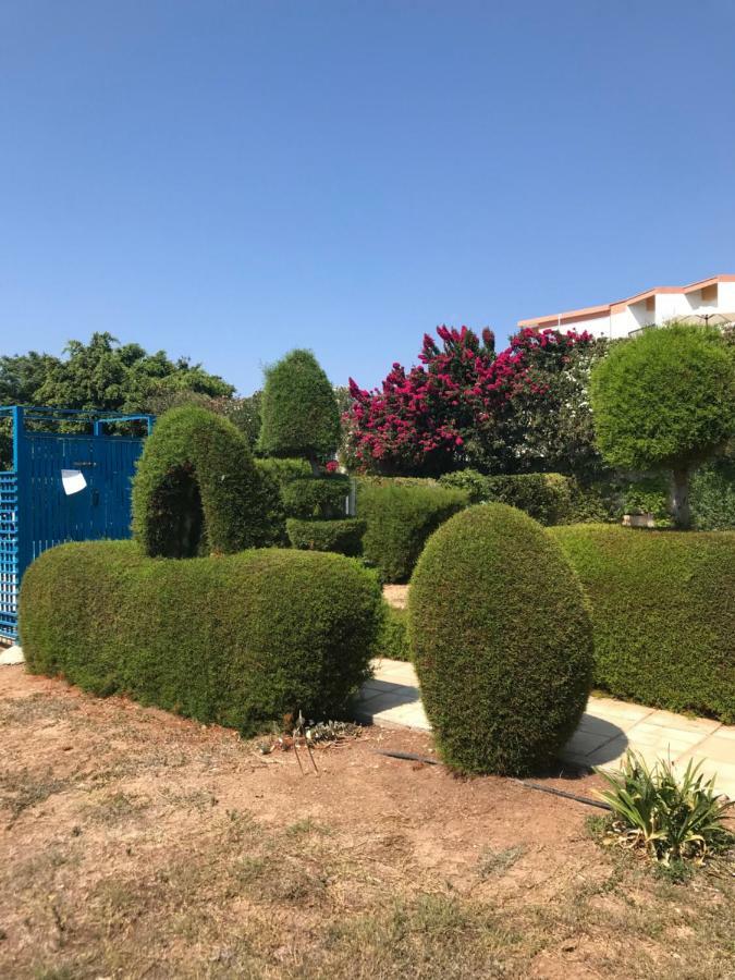 2 Bedroom Apartment-Mediterranean Type Пафос Экстерьер фото